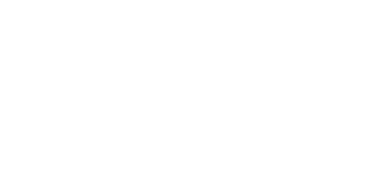 Pasargad Translation